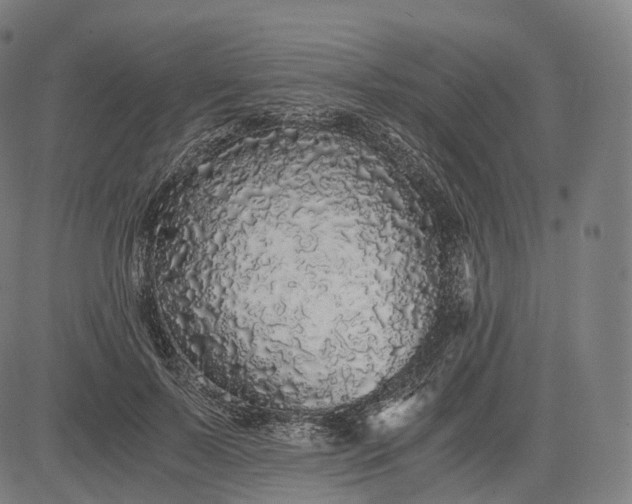 X0000084550695200703091720