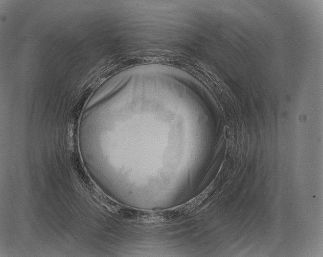 X0000084550696200703091720