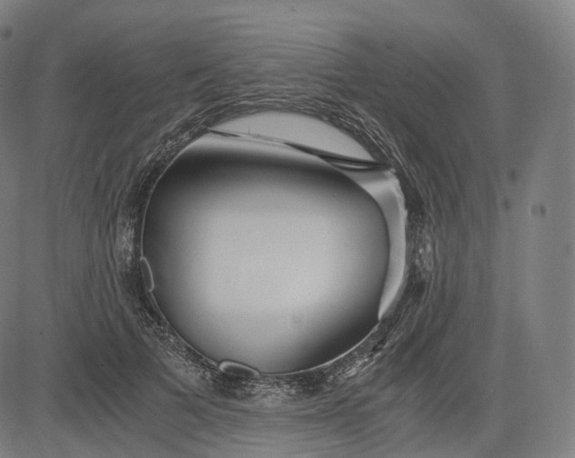 X0000084550697200703091720