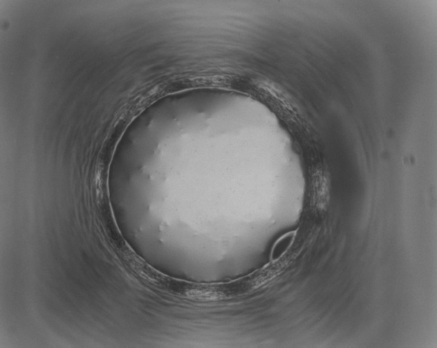 X0000084550699200703091720