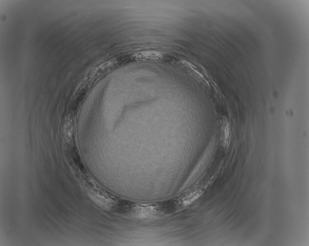 X0000084550701200703091720