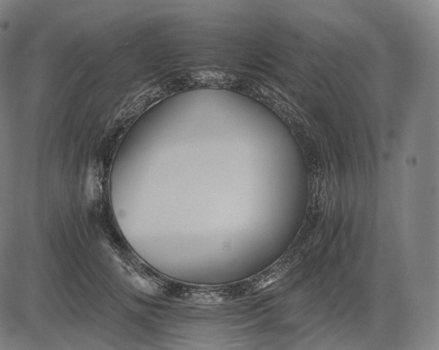 X0000084550702200703091719