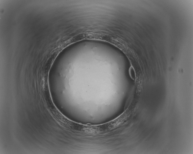 X0000084550703200703091719