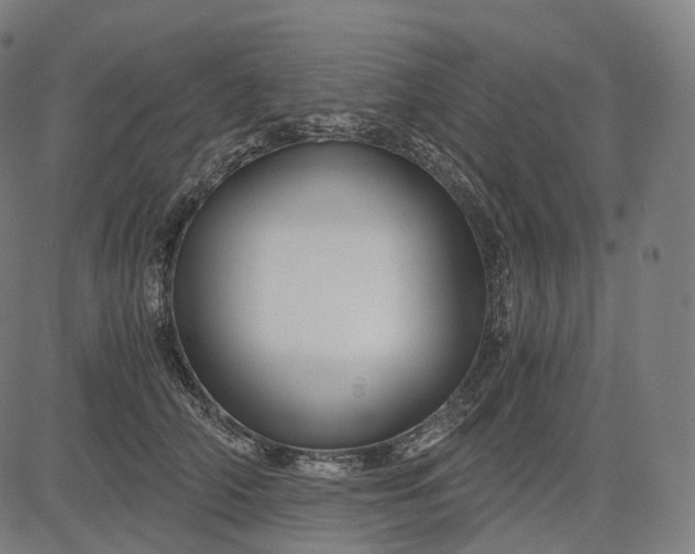 X0000084550706200703091719