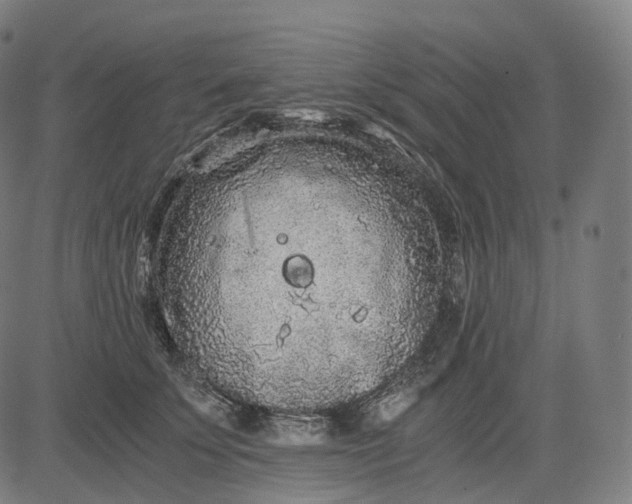 X0000084550707200703091719