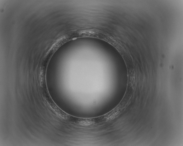 X0000084550708200703091719