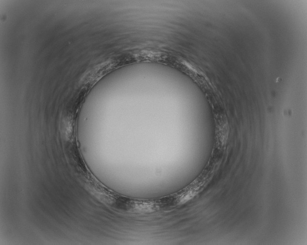 X0000084550709200703091719