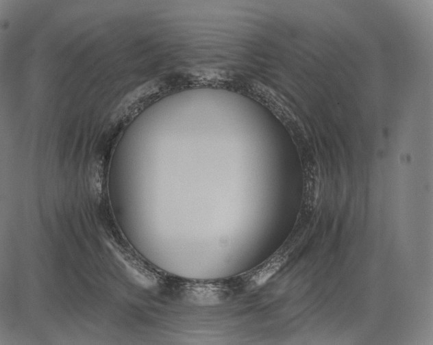 X0000084550710200703091719