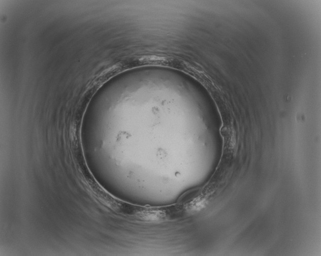 X0000084550711200703091719