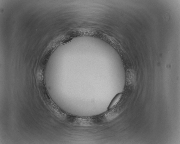 X0000084550713200703091719