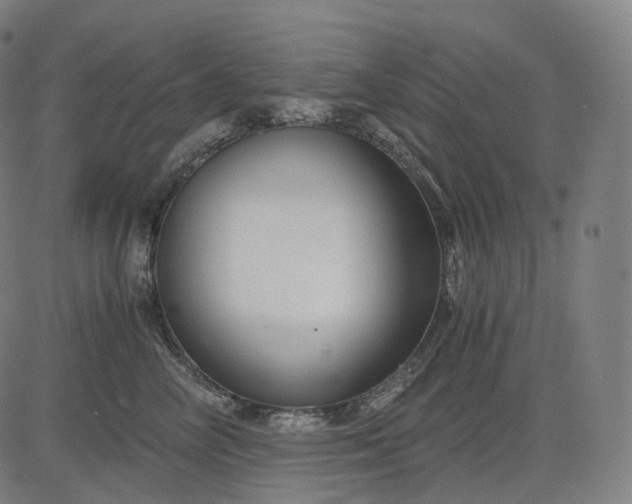 X0000084550714200703091719