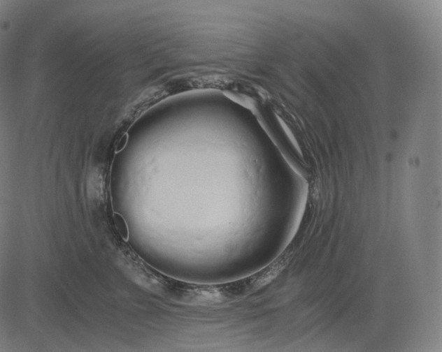 X0000084550715200703091719