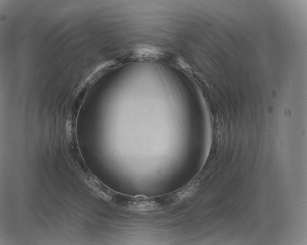 X0000084550716200703091719