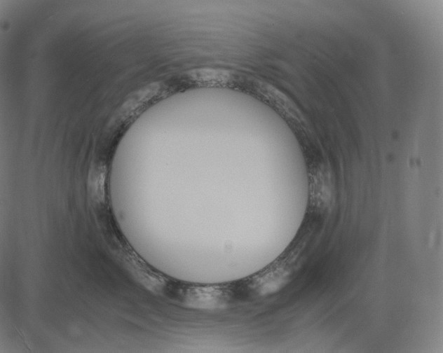 X0000084550717200703091719