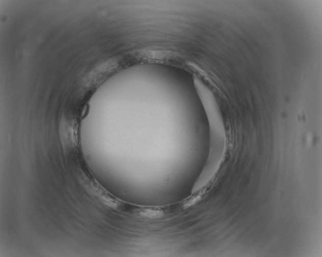 X0000084550718200703091719