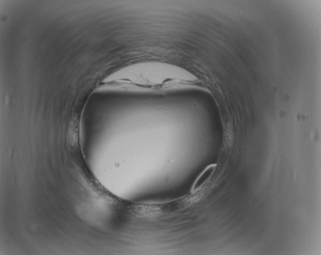 X0000084550719200703091719