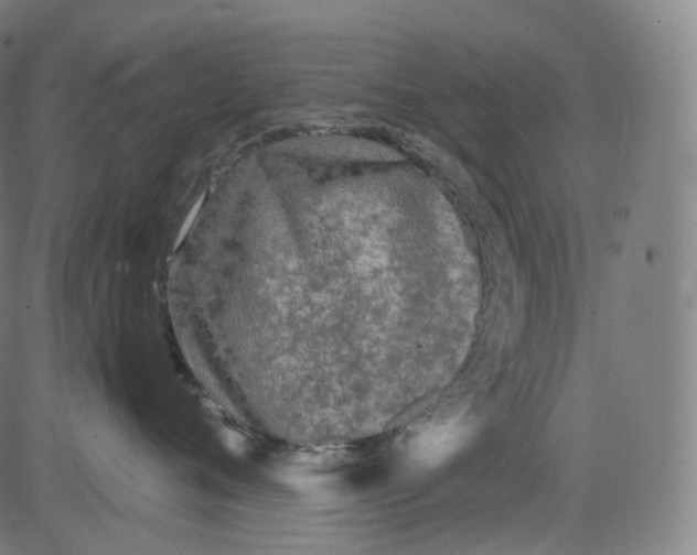 X0000084550720200703091719