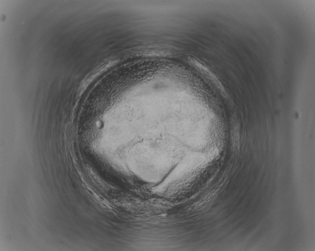 X0000084550721200703091718