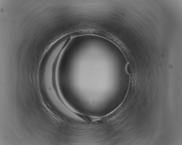 X0000084550722200703091718