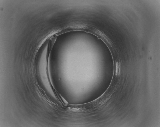 X0000084550723200703091718