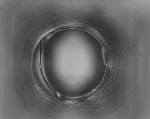 X0000084550724200703091718