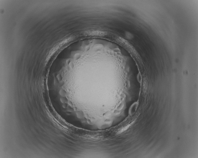 X0000084550725200703091718