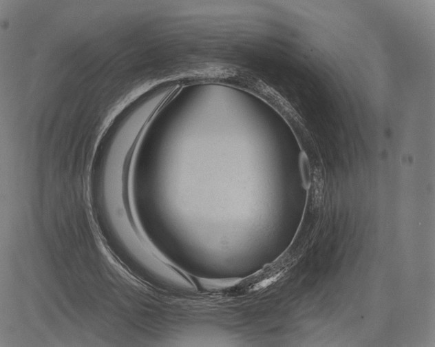 X0000084550726200703091718