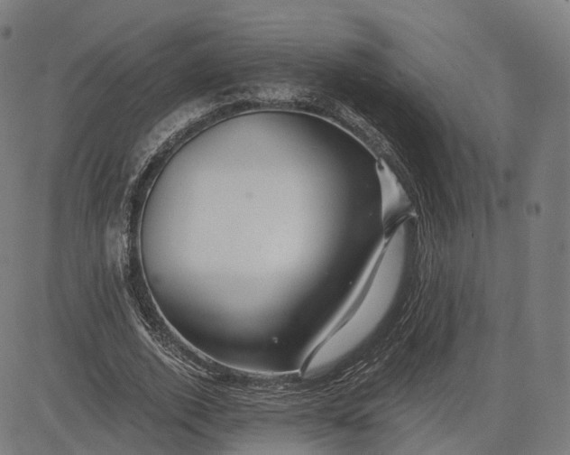 X0000084550728200703091719