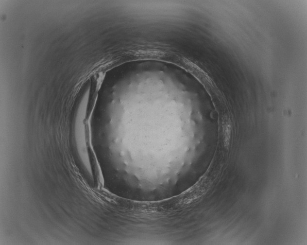 X0000084550729200703091719