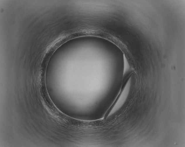 X0000084550730200703091719