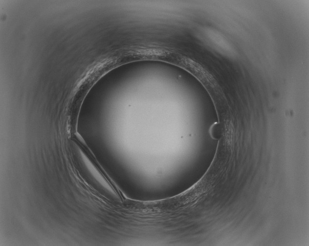 X0000084550731200703091719