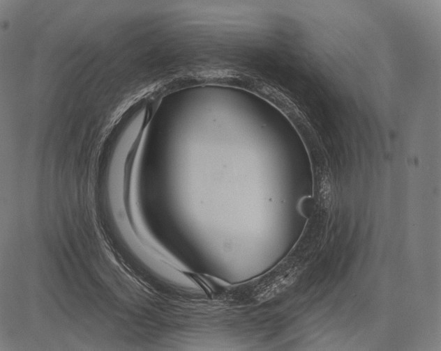 X0000084550732200703091719