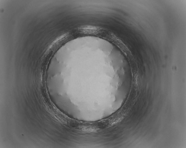 X0000084550733200703091719