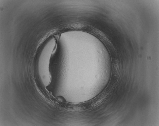 X0000084550734200703091719