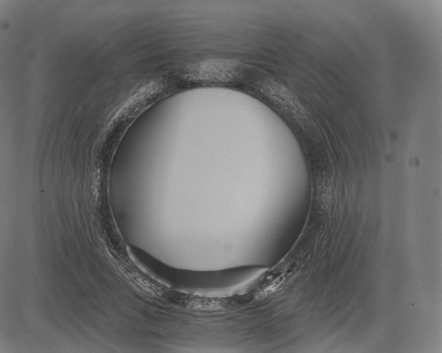 X0000084550735200703091719