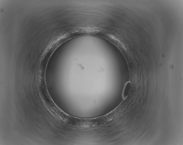 X0000084550736200703091719