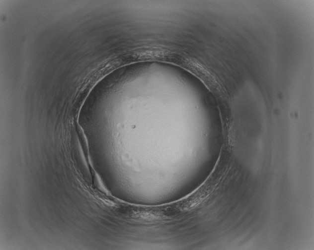 X0000084550737200703091719