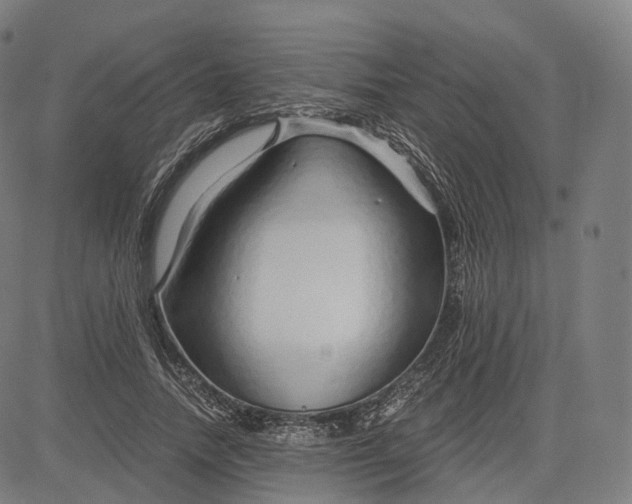 X0000084550738200703091719