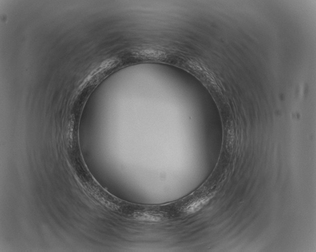 X0000084550739200703091719