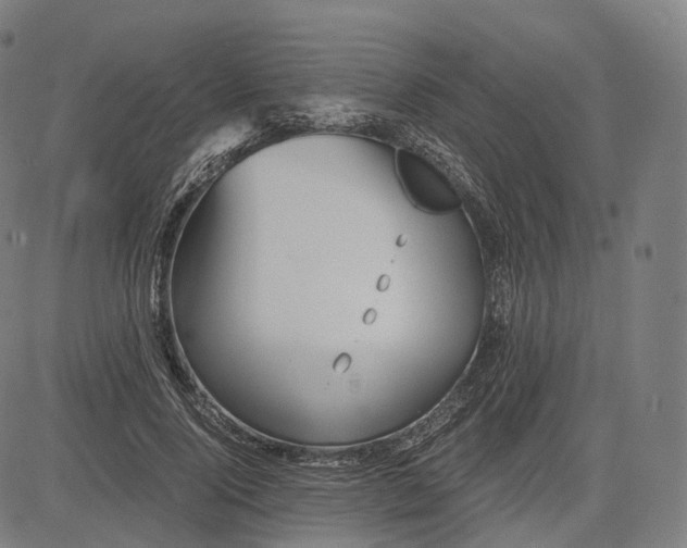 X0000084550740200703091719