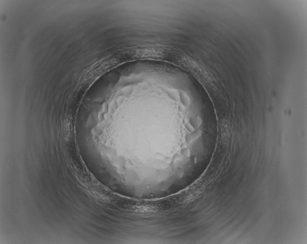 X0000084550741200703091719