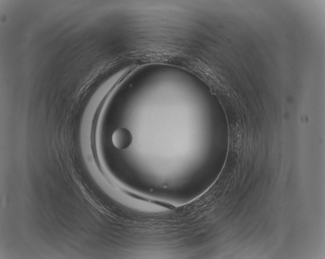 X0000084550742200703091719