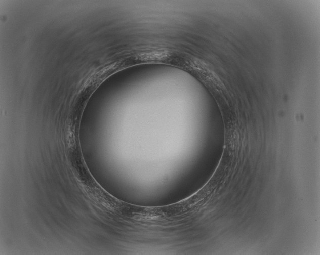 X0000084550743200703091719