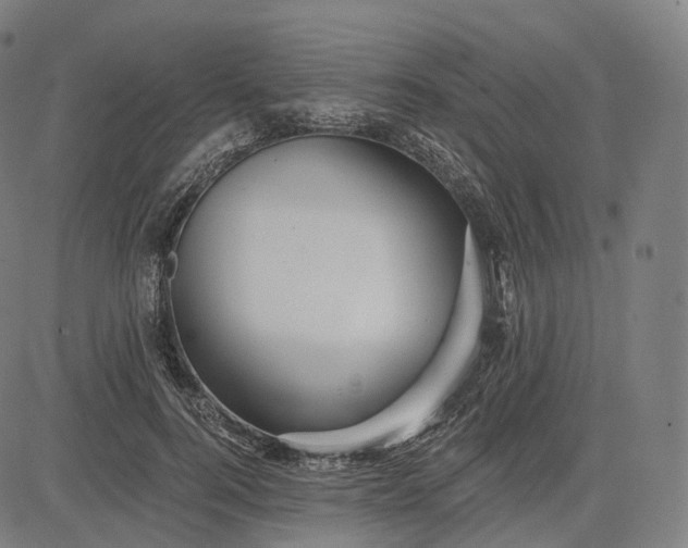 X0000084550744200703091719