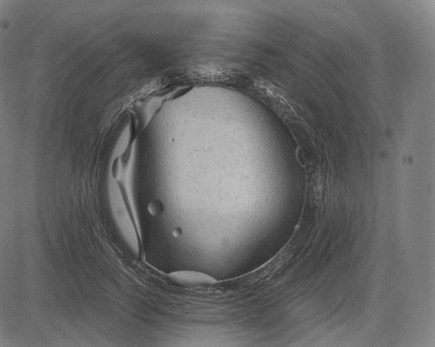 X0000084550746200703091719