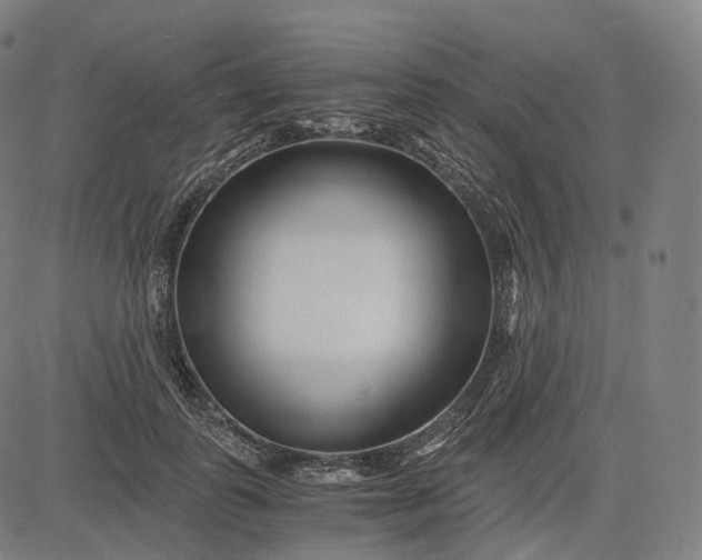 X0000084550747200703091719