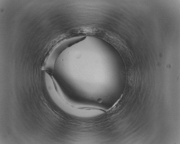 X0000084550748200703091719