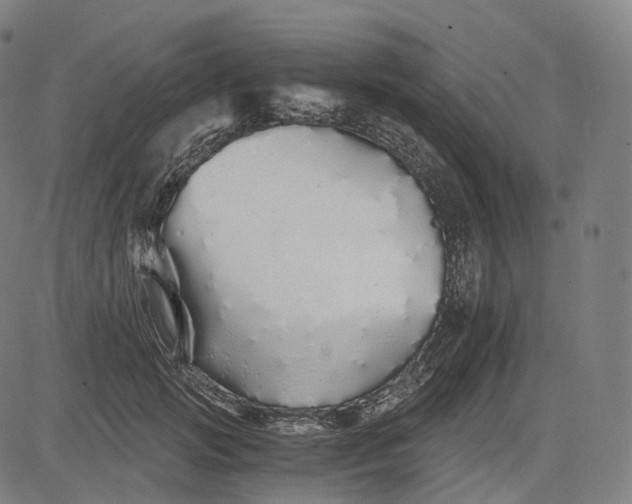 X0000084550749200703091719