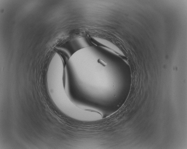 X0000084550750200703091719