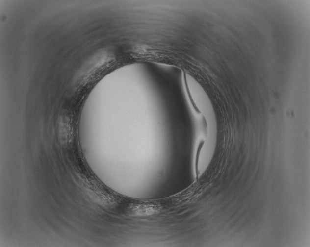 X0000084550751200703091719